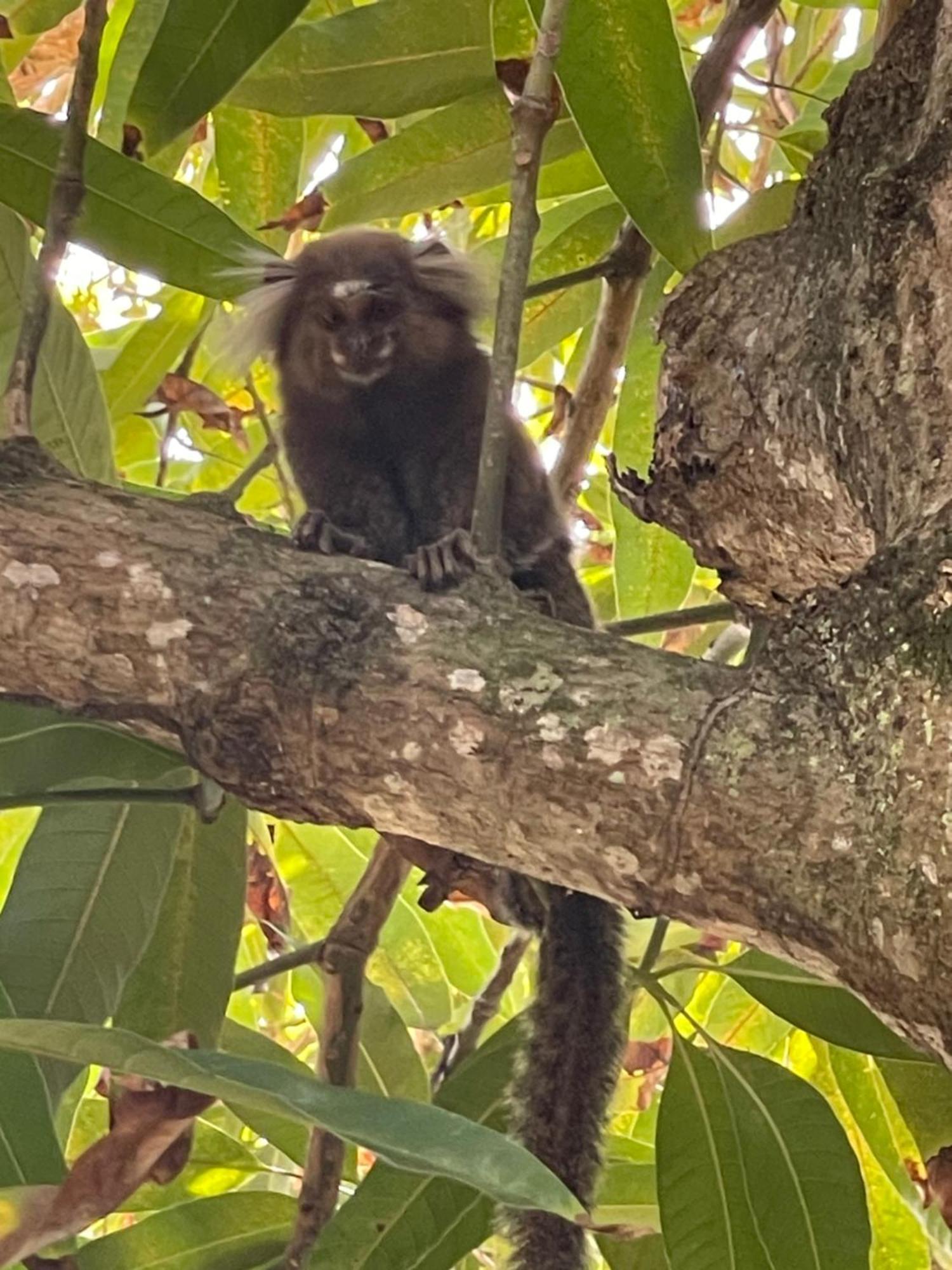 Appartamento Casa Jasmim Imbassai-Ba Mata de Sao Joao Esterno foto